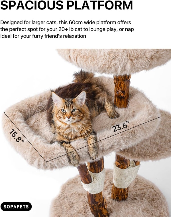 The Best Choice for Cat Tree