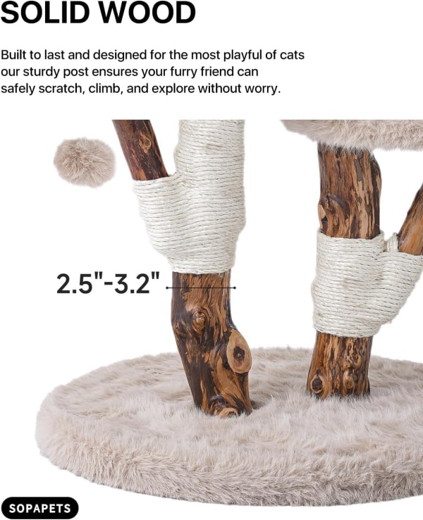 The Best Choice for Cat Tree