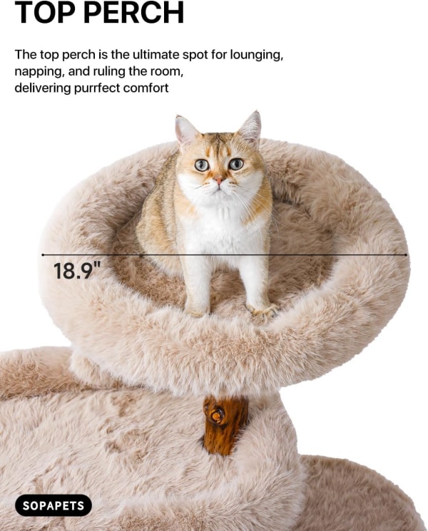 The Best Choice for Cat Tree